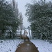April Letchworth Photo 1
