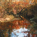 River Mills Photo 8