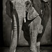 Richard Canaan Photo 1