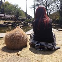 Eva Chan Photo 16