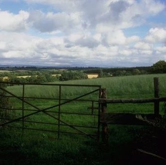 Frances Cox Photo 28