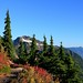 Heather Meadows Photo 9