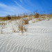 Sky Blue Photo 8