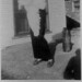 Sharon Forbis Photo 1