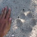 James Wolf Photo 17