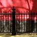 Charles Red Photo 5