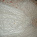 Lisa Himes Photo 10