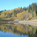 Bill Allen Photo 8