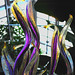 Art Phipps Photo 8