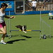 Rocio Gil Photo 9