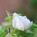 Jack Friend Photo 4