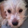 Faith Goodiel Photo 4