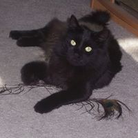 Winslow Joy Photo 13