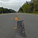 Richard Coggins Photo 4