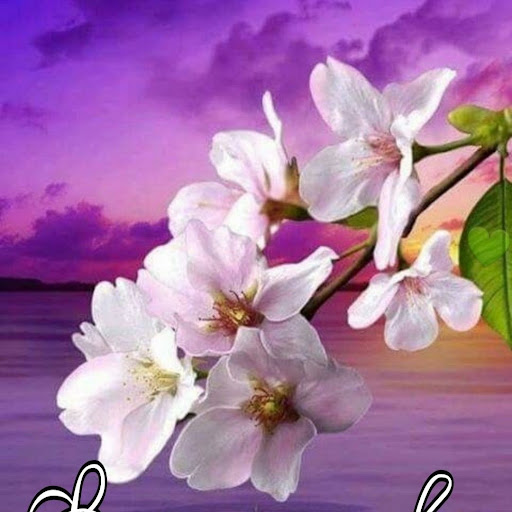 Lilian Fuentes Photo 15