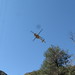 Kathy Eaton Photo 18