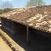 Maximo Rivas Photo 9