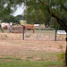 Cheryl Walden Photo 11