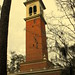 Stephen Bell Photo 18
