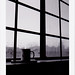 Will Thornton Photo 12