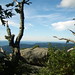 Mary Rock Photo 18