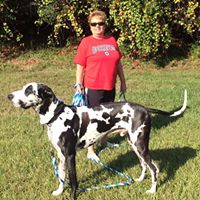 Tina Stepp Photo 18