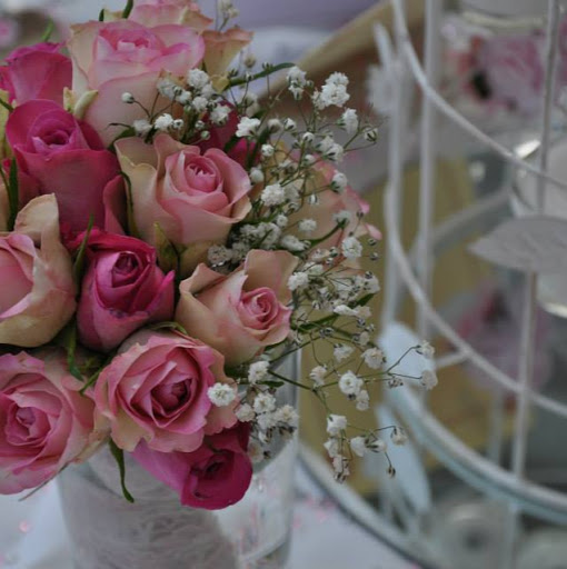 Elizabeth Hammond Photo 38
