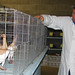 Brian Mcinerney Photo 8