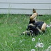 Joy Dugger Photo 4