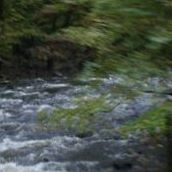 Evelyn Anglin Photo 14
