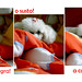 Nina Benjamin Photo 5