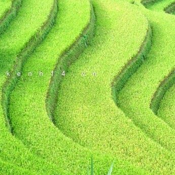 Cuong Hong Photo 20