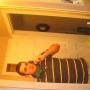 Robert Fern Photo 24
