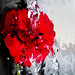 Rose Labella Photo 4
