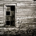 Evan Bone Photo 7