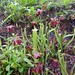 Roberta Hill Photo 15