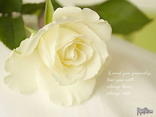 Shilpa Jagtap Photo 11