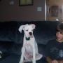 Caleb Brenner Photo 7