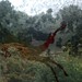 Gregory Mckean Photo 6