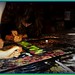 Elizabeth Colvin Photo 14