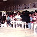 Salvador Mendonca Photo 8