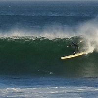 Tom Moss Photo 18