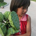 Bao Liu Photo 11