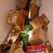 Rachel Owens Photo 15