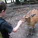 Bambi Jake Photo 5