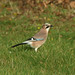 Jay Hayter Photo 7
