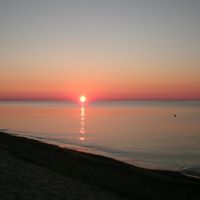Sandy Utsler Photo 4