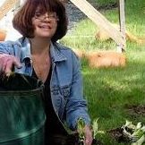 Sharon Stanton Photo 34