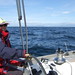 Julie Helms Photo 11