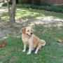 Susan Ammons Photo 30